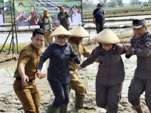 Meski Terjebak Lumpur, Ria Hartini Tetap Menebar Senyum Dalam Kegiatan Tanam Padi Di Kelurahan Sumber Sari